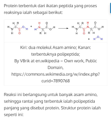 Check spelling or type a new query. Tuliskan Rumus Kimia Protein Paling Sederhana Brainly Co Id
