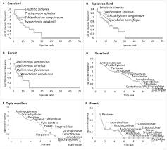 Image result for Hyparrhenia newtonii