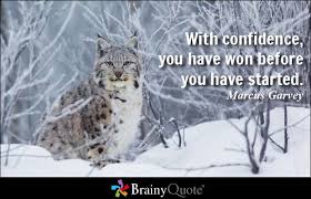 Confidence Quotes - BrainyQuote via Relatably.com