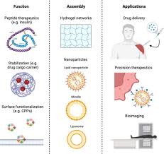 Therapeutic Peptides, Proteins and their Nanostructures for Drug Delivery  and Precision Medicine - Kim - 2024 - ChemBioChem - Wiley Online Library