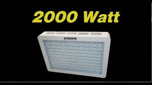 Check spelling or type a new query. Growing Watermelons Indoors Testing The Higrow 2000 Watt Led Grow Light Youtube