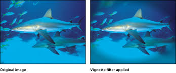 In this video, i show how to create a very simple vignette using adobe premiere pro cs6. Vignette Filter In Motion Apple Support