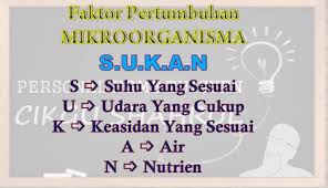 5) kulat/ fungi yis mukor penicillium. Sains Kertas 2 Upsr Topik Mikroorganisma Cmn Academy Online Learning Platform