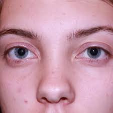 Stream Sofia Foster music