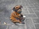 598 Best Cool dog breeds images in 2020 | Dog breeds, Dogs ...