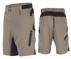 Zoic Ether Shorts Liner