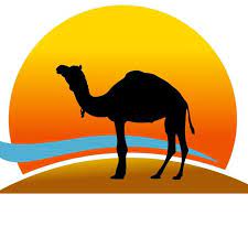 Anthony mccarthy (27.09.2017 12:19) great meeting point, great food, and very reasonably priced , the owners are gents ! The Sleeping Camel Bamako Mali Startseite Facebook
