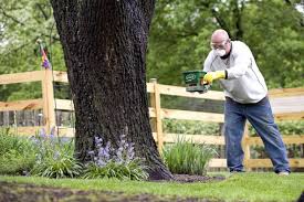 An estimated 85 million american households, or 72%, do some work in their yards, whether cutting the lawn, planting a garden, or otherwise tending to their outdoor space, according to the national. Decide If You Should Hire A Lawn Care Company Or Do It Yourself
