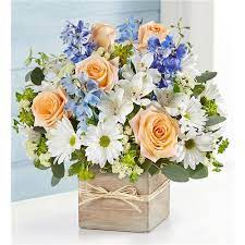 A wedding dj's style, cost, and location are all things please note these wedding djs will also travel to east lansing, holt, dimondale, dewitt, okemos, bath, de witt, grand ledge, potterville, haslett, mason, williamston. Lansing Il Same Day Same Day Flower Delivery Delivery Send A Gift Today Tiny S Flowers