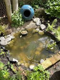 Image result for garden pond ideas