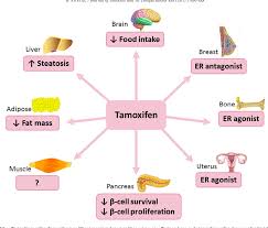 Image result for Selective Estrogen Receptor Modulator