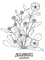 Floral Constellation Aquarius By Zoazig Aquarius Constellation Tattoo Constellation Tattoos Aquarius Art