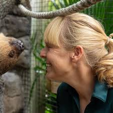 Express-transport från Orlando + Central Florida Zoo