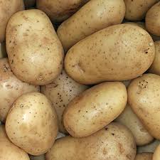 Image result for Solanum tuberosum