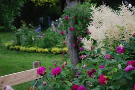 Bluhendes Leben In Unserem Pfarrgarten