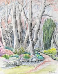 Professionally graded artist pencils in a range of values allow you to draw it all from highlights to mid tones and shadows. Technique Of The Week Watercolour Pencils Karen Gillmore Art