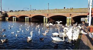 Blick von der krugkoppelbrücke in richtung nördlichem alsterlauf. Hamburg Im Herbst Vogelversammlung An Der Kleinen Alster Michele Gedanken Sprunge