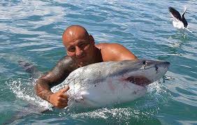 Search the world's information, including webpages, images, videos and more. Artur Szpilka Po Treningu Gra W Szachy Zaskakujaca Rozrywka Boksera