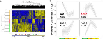 By inductive evaluation this aace/ace cpg on obesity is developed according to established aace/ace methodology for guidelines development (23 [el 4; Frontiers The Comparative Methylome And Transcriptome After Change Of Direction Compared To Straight Line Running Exercise In Human Skeletal Muscle Physiology