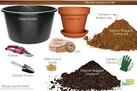 Maybe you would like to learn more about one of these? How To Grow Organic Bitter Gourd In A Pot Fab How