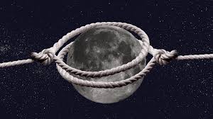 We did not find results for: Elon Musk And Jeff Bezos Both Want The Moon The Atlantic