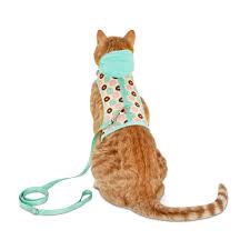 $18.99 with subscribe & save discount. Bond Co Donut Print Hooded Cat Harness And Leash Set Petco