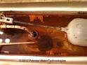 Iron bacteria in toilet tank