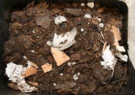 Egg shells are a great source of calcium for tomatoes and peppers. 8 Excellent Ideas For Using Eggshells In The Garden