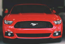 Find a caregiver that fits your needs. Mustang Rental New Orleans Convertible Mustang Rental Msy