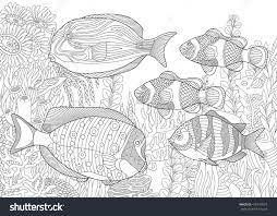 Pin On Ocean Resources