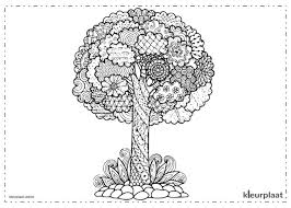 Check spelling or type a new query. Kleurplaten Van Mandala