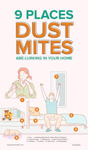 9 Surprising Places Dust Mites Are Creeping In Your Home Dust Mite Allergy Dust Allergy Dust Mites