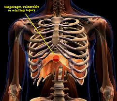 Image result for Point of Maximum Impulse