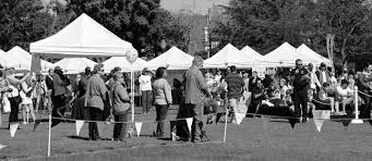 Board of Education shakeup How will the BHUSD pay the $13.7 million  Christiansen judgment?