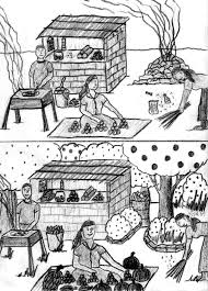 Image result for Landolphia eminiana