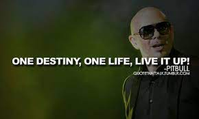 Pin On Pitbull Rapper Artist