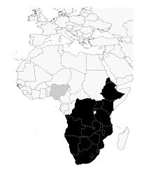 Image result for Schoenoplectus muriculatus