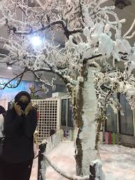 May 1, 2019april 28, 2017 by editorfs. Rumah Salji Bukit Cerakah Shah Alam