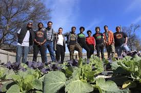 Cooperation Jackson or How to get out of analysis paralysis politics