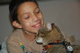 IA 30(1)–2012-FIN.qxp:IA-24(1).qx