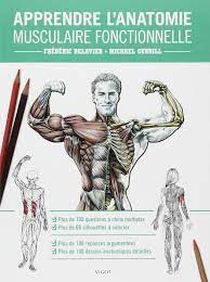 apprendre l anatomie musculaire fonctionnelle sports musculation french edition frederic delavier michael gundill 9782711421442 amazon com books coloriage lego batman jouets