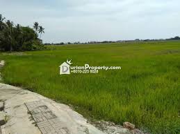 Bukit belah, sebelah dataran usahawan machang, kelantan, malaysia siapa cepat dia dapat harga murah, tanah lot bungalow dengan kadar serenfah rm8 sekaki persegi sudah siap diratakan dan sedia untuk pembinaan rumah 25 km dari. Residential Land For Sale At Alor Setar Kedah For Rm 60 000 By Hasfarizal Bin Abdul Halim Durianproperty
