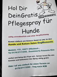 Dein Hundesalon Offenbach Waldstraße