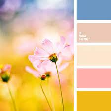 Pin On Colores