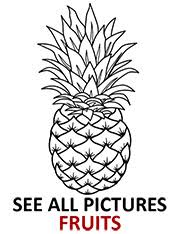 Your use of our printables is subject to our licensing terms and terms of use. Free Printable Avocado Coloring Pages For Children