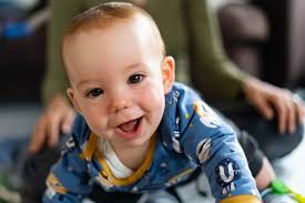 Pinecone Photography