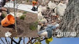 Healthy Trees, Happy Landscapes Class
