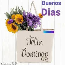 We would like to show you a description here but the site won't allow us. Feliz Domingo Happy Sunday Gif Feliz Domingo Happy Sunday Buenos Dias Discover Share Gifs
