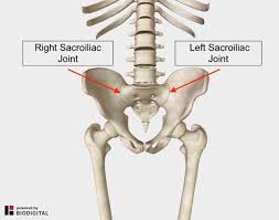 He specializes in spinal deformity and complex. Lower Back And Hip Pain 7 Frequently Overlooked Causes