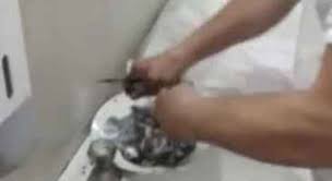 Come fare a pulire le seppie. Medico Pulisce Le Seppie In Ospedale Incastrato Da Un Video E Licenziato Il Mattino It